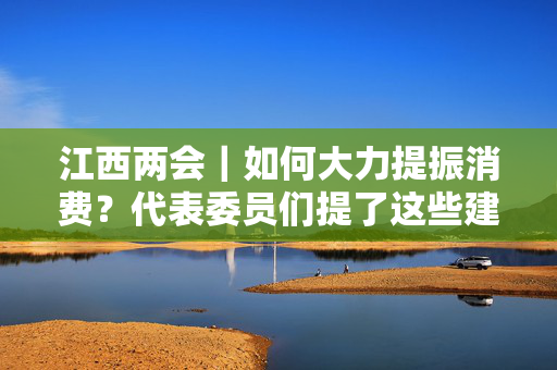 江西两会｜如何大力提振消费？代表委员们提了这些建议