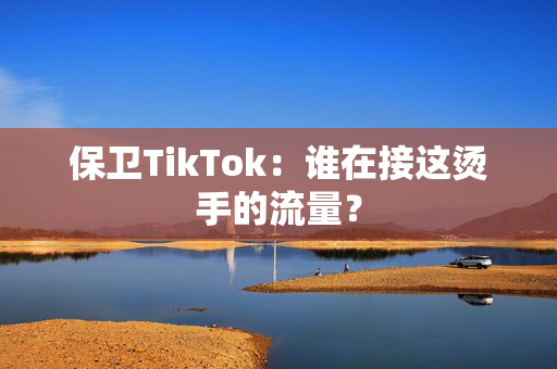 保卫TikTok：谁在接这烫手的流量？