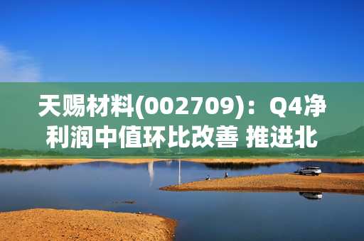 天赐材料(002709)：Q4净利润中值环比改善 推进北美市场布局