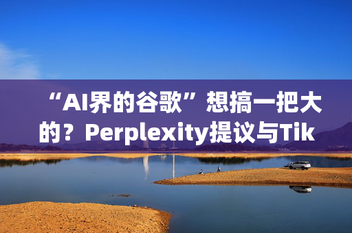 “AI界的谷歌”想搞一把大的？Perplexity提议与TikTok美国合并