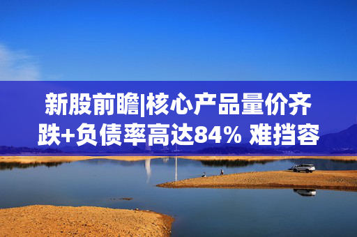 新股前瞻|核心产品量价齐跌+负债率高达84% 难挡容大合众分红超净利润