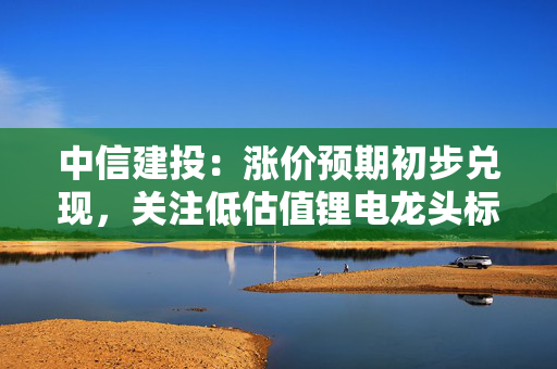 中信建投：涨价预期初步兑现，关注低估值锂电龙头标的