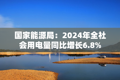 国家能源局：2024年全社会用电量同比增长6.8%