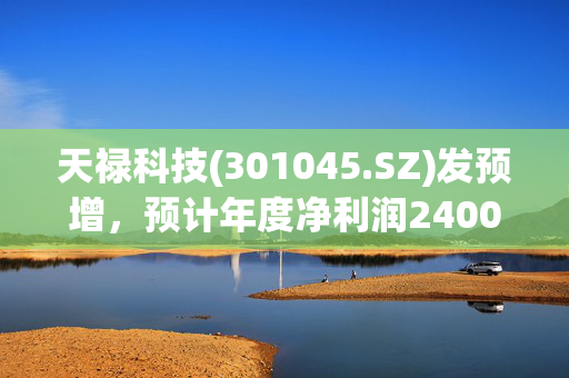 天禄科技(301045.SZ)发预增，预计年度净利润2400万元-3000万元，同比增长171.58%-239.47%