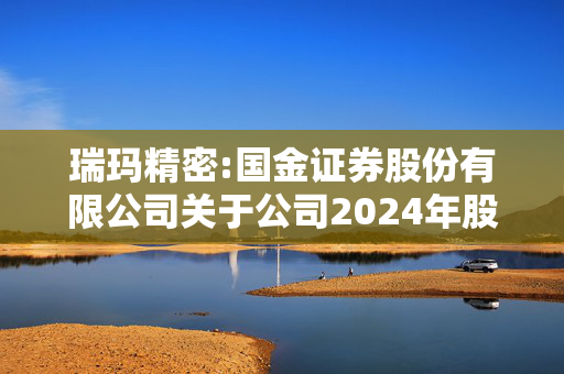 瑞玛精密:国金证券股份有限公司关于公司2024年股票期权激励计划注销部分股票期权之独立财务顾问报告