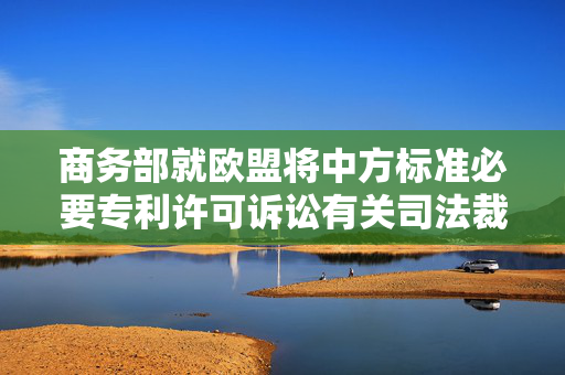 商务部就欧盟将中方标准必要专利许可诉讼有关司法裁判诉至世贸组织争端解决机制答记者问