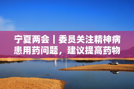 宁夏两会｜委员关注精神病患用药问题，建议提高药物补助费