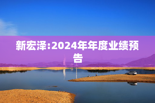 新宏泽:2024年年度业绩预告