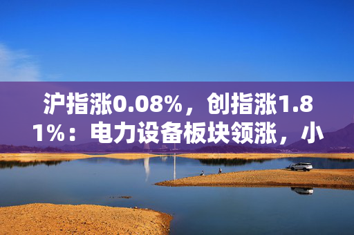 沪指涨0.08%，创指涨1.81%：电力设备板块领涨，小红书概念股再度回撤