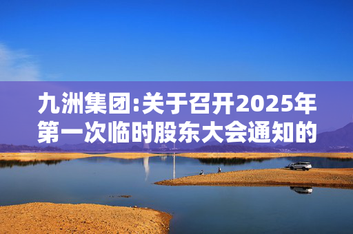 九洲集团:关于召开2025年第一次临时股东大会通知的公告