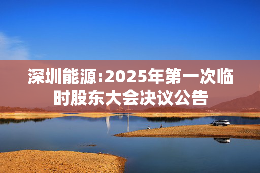 深圳能源:2025年第一次临时股东大会决议公告