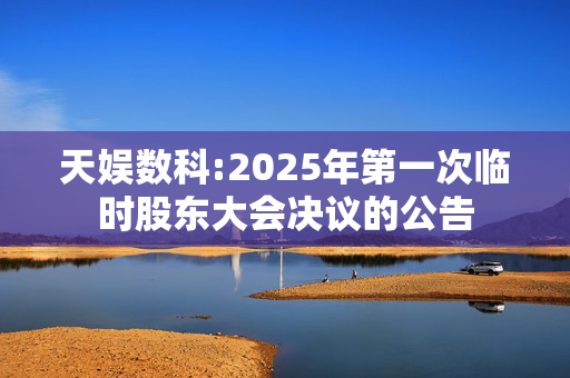 天娱数科:2025年第一次临时股东大会决议的公告