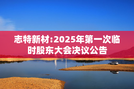 志特新材:2025年第一次临时股东大会决议公告