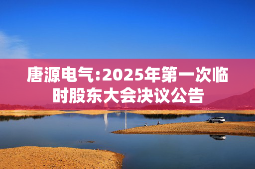 唐源电气:2025年第一次临时股东大会决议公告