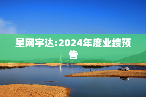 星网宇达:2024年度业绩预告