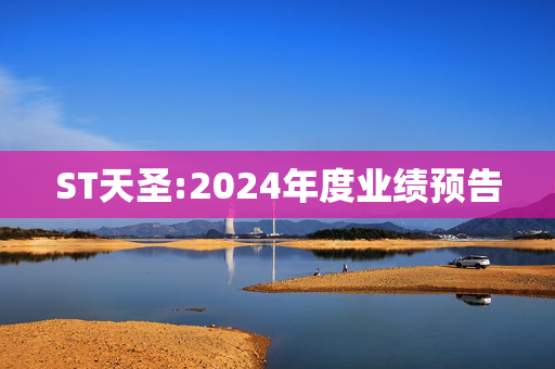 ST天圣:2024年度业绩预告