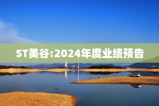 ST美谷:2024年度业绩预告