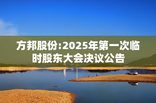 方邦股份:2025年第一次临时股东大会决议公告