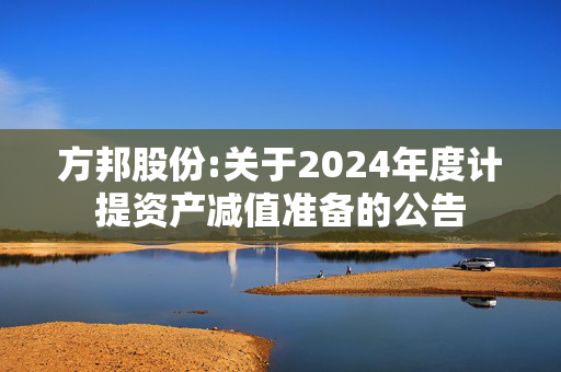 方邦股份:关于2024年度计提资产减值准备的公告