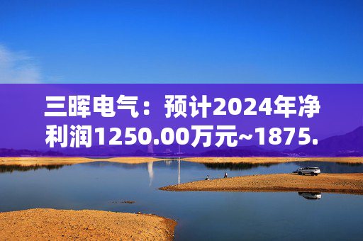 三晖电气：预计2024年净利润1250.00万元~1875.00万元 同比增111.46%~217.19%