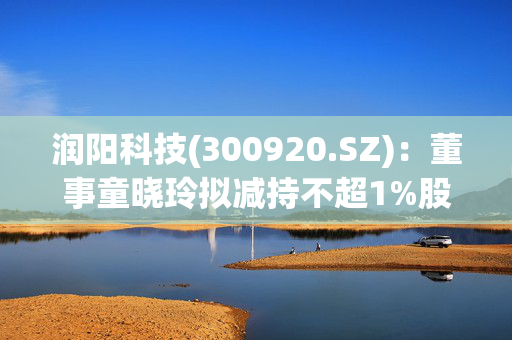 润阳科技(300920.SZ)：董事童晓玲拟减持不超1%股份