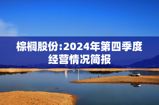 棕榈股份:2024年第四季度经营情况简报