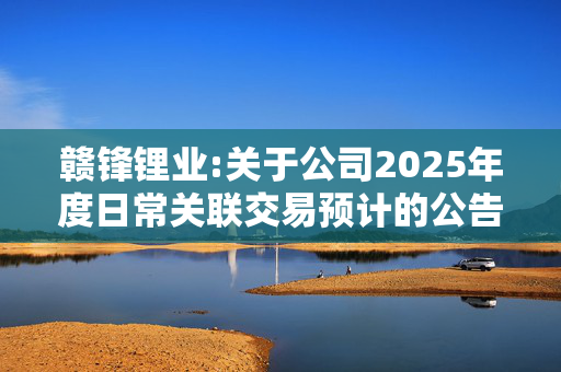 赣锋锂业:关于公司2025年度日常关联交易预计的公告