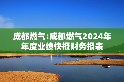 成都燃气:成都燃气2024年年度业绩快报财务报表