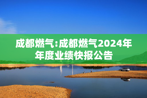 成都燃气:成都燃气2024年年度业绩快报公告