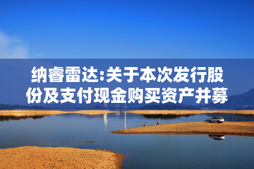 纳睿雷达:关于本次发行股份及支付现金购买资产并募集配套资金事项的风险提示公告