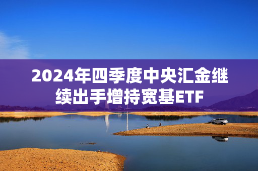 2024年四季度中央汇金继续出手增持宽基ETF