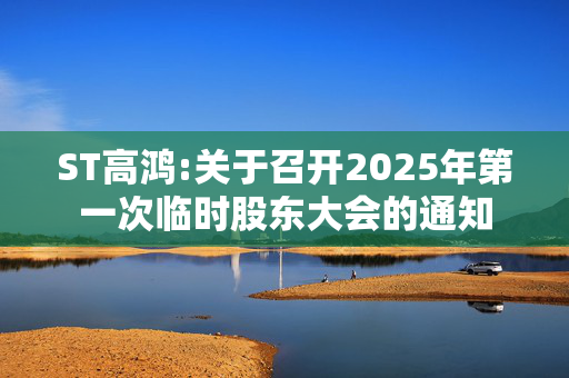 ST高鸿:关于召开2025年第一次临时股东大会的通知