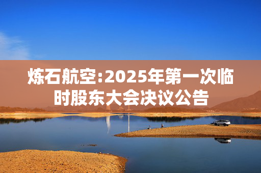 炼石航空:2025年第一次临时股东大会决议公告