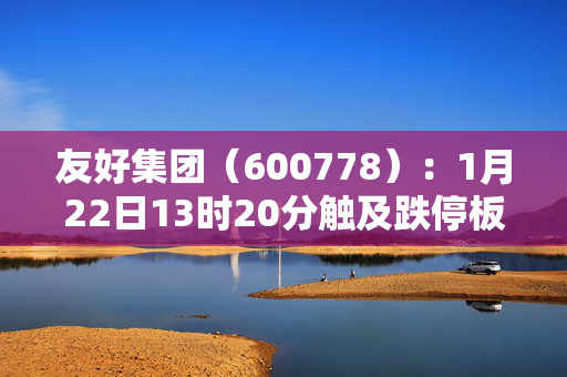 友好集团（600778）：1月22日13时20分触及跌停板