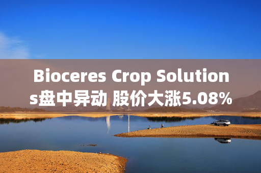 Bioceres Crop Solutions盘中异动 股价大涨5.08%报7.24美元