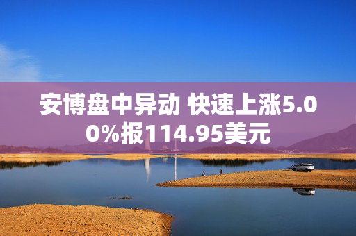 安博盘中异动 快速上涨5.00%报114.95美元