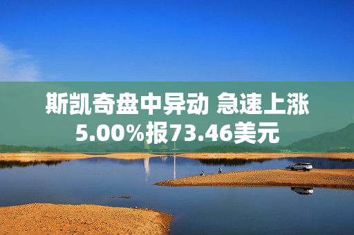 斯凯奇盘中异动 急速上涨5.00%报73.46美元