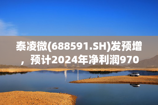 泰凌微(688591.SH)发预增，预计2024年净利润9700万元，同比增加95%