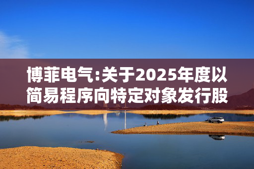 博菲电气:关于2025年度以简易程序向特定对象发行股票摊薄即期回报的风险提示及填补回报措施和相关主体承诺的公告