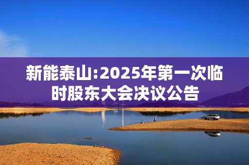 新能泰山:2025年第一次临时股东大会决议公告