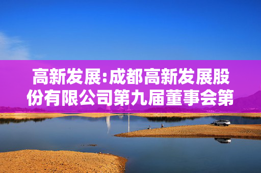 高新发展:成都高新发展股份有限公司第九届董事会第二次临时会议决议公告