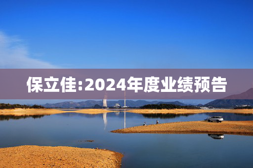 保立佳:2024年度业绩预告