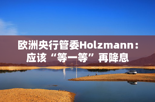 欧洲央行管委Holzmann：应该“等一等”再降息