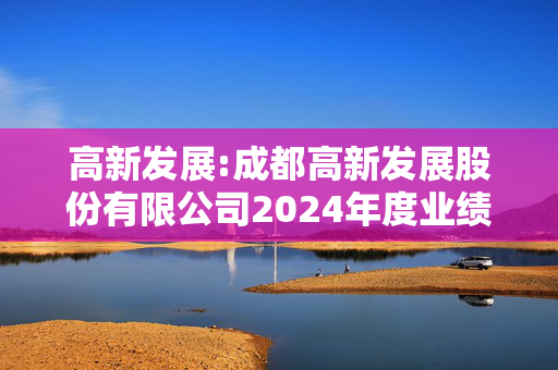 高新发展:成都高新发展股份有限公司2024年度业绩预告