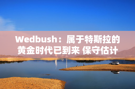 Wedbush：属于特斯拉的黄金时代已到来 保守估计破550美元