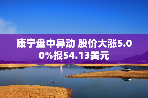 康宁盘中异动 股价大涨5.00%报54.13美元