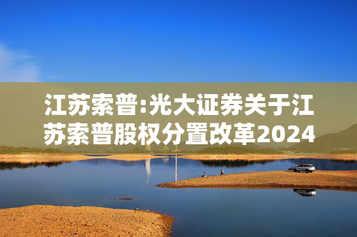 江苏索普:光大证券关于江苏索普股权分置改革2024年年度保荐工作报告书