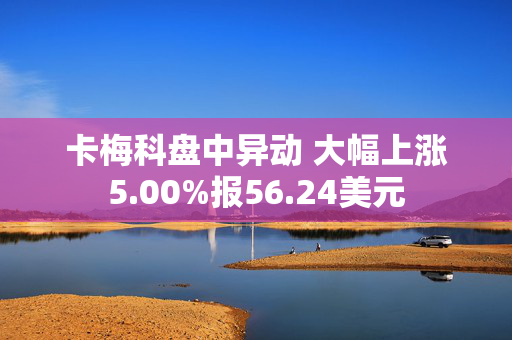 卡梅科盘中异动 大幅上涨5.00%报56.24美元