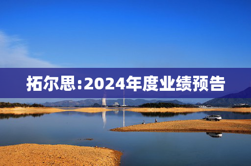 拓尔思:2024年度业绩预告