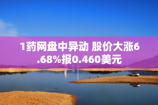 1药网盘中异动 股价大涨6.68%报0.460美元